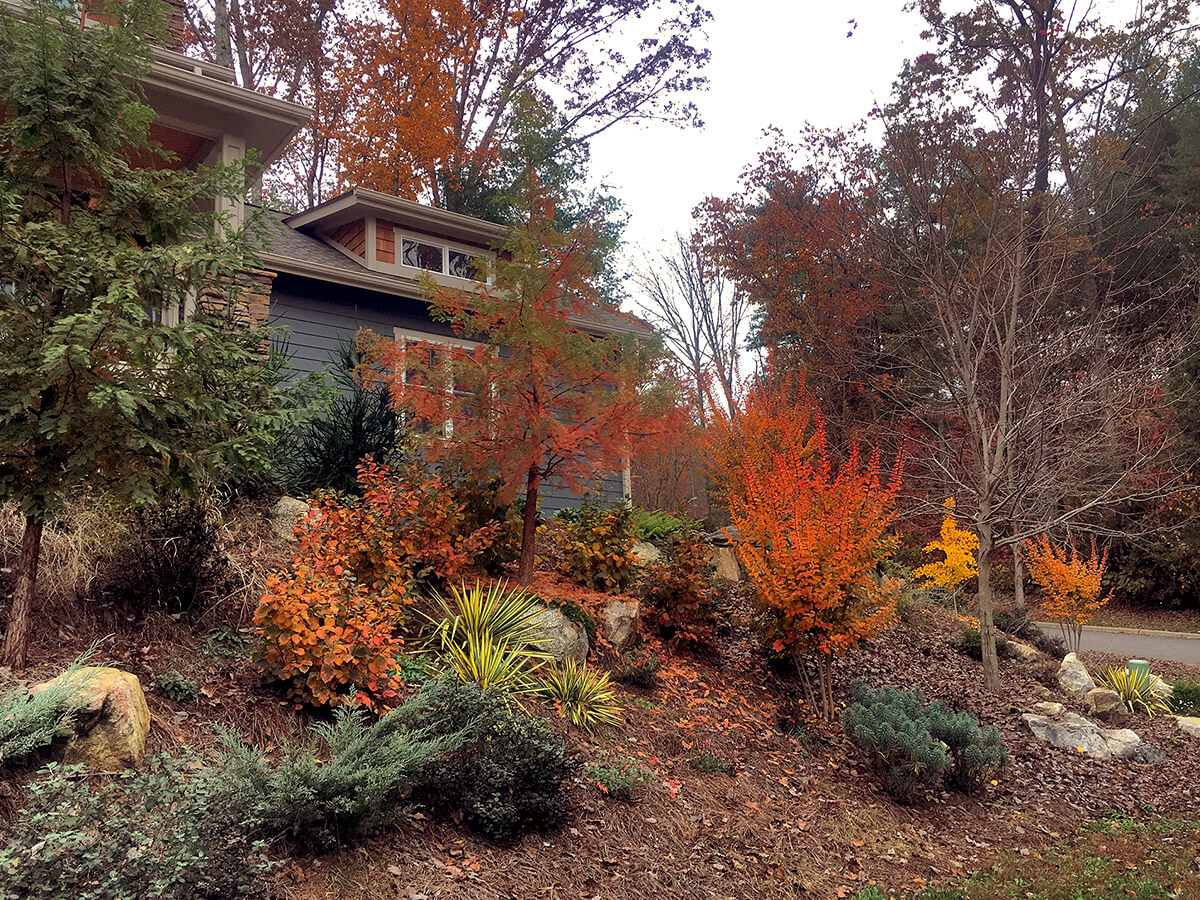 autumn colored plantings in front yard